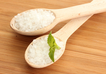 salt in spoons with fresh  rosemary and basil
