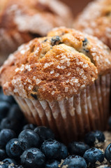 Blueberry Muffin