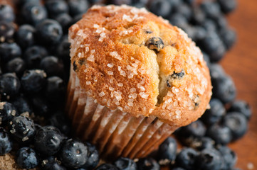 Blueberry Muffin