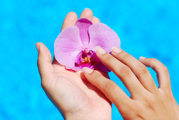 MANOS TOCANDO UNA ORQUÍDEA. AROMATERAPIA