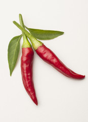 Spicy peppers