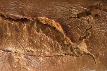 Fondo, pan