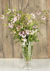 bouquet of vicia in a transparent vase on wooden background