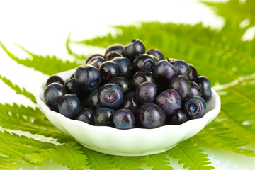 ripe blueberries in white saucer on fern close-up