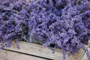 Selbstklebende Fototapete Lavendel Lavendel