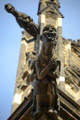 A gargoyle on the Cathedral. Vitus, St. Wenceslas and St. Adalb