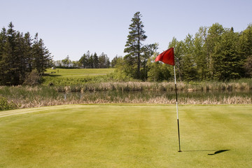 Obraz premium golf green
