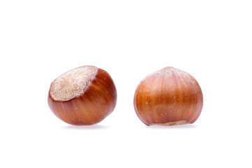 Obraz premium hazelnuts