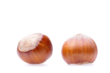 hazelnuts