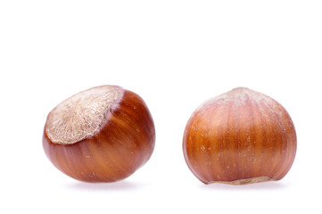 hazelnuts