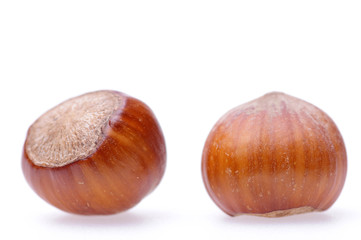 hazelnuts