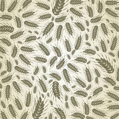 Obraz premium Wheat a background