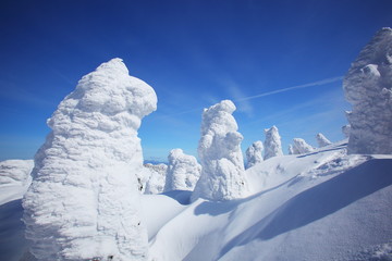 Soft rime, Mt.Zao in Japan