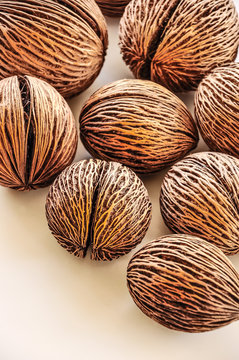 Morrito  fruit