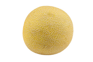 Galia melone