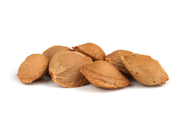 Apricot stones