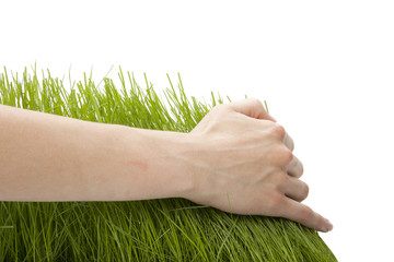 Hand above green fresh grass