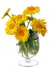 yellow marigold flowers in glass