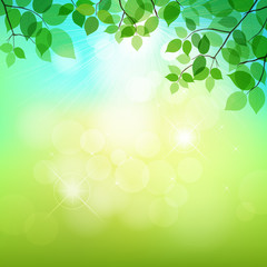 Fototapeta na wymiar Fresh green leaves on natural background. vector