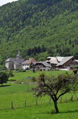 Le village de Leschaux