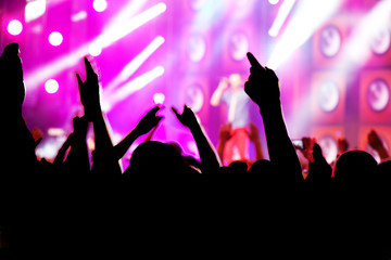 Fototapeta premium People having fun on music concert, disco party.