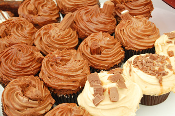 chocolate cupcakes
