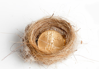 Isolated birds nest with gold coin
