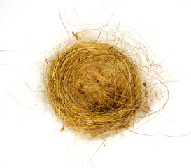 Isolated birds nest woven from grass and hair