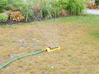 Garden Sprinkler on dry lawn