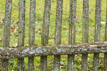 Fototapeta premium Old fence.
