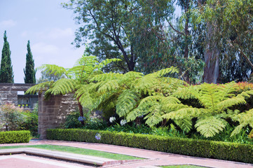 Flowerbeds in one of the park