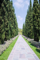 Flowerbeds in trees alley in one of the park