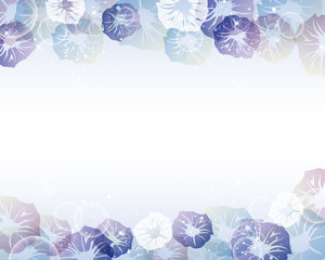 morning glory background