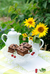 Chocolate cakes and teapot in the garden