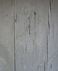Fond - ancien bois peint en gris