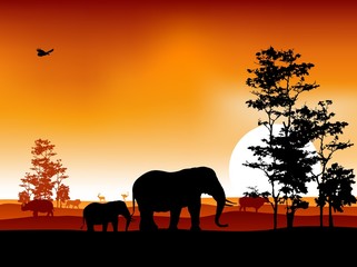 Fototapeta na wymiar sylwetka Piękno safari zwierząt