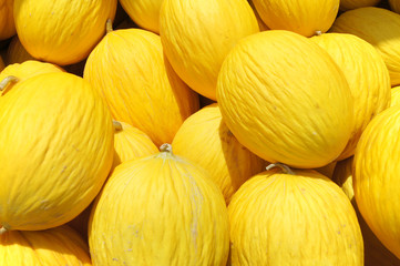 yellow Honey dew melon