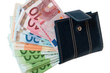 Purse and European money.