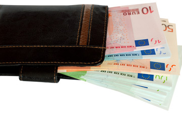 Purse and European money.