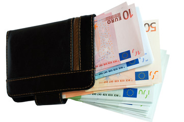 Purse and European money.