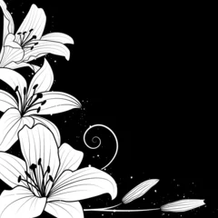 Papier Peint photo Lavable Fleurs noir et blanc lys sur noir