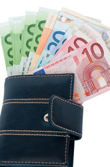 Purse and European money.