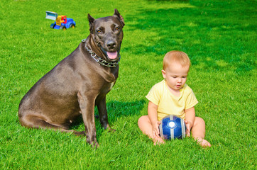 A child plays with a dog and ball on a grass