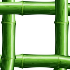 Naklejka premium Cornice di Bambù-Bamboo Frame-Vector