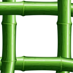 Papier Peint photo Lavable Dessiner Cornice di Bambù-Bamboo Frame-Vector