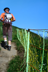 sentier de randonn&eacute;e dans les alpes,marcheur