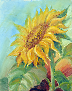 Sunflower,  oil painting on canvas