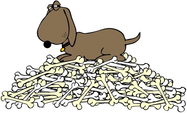 Dog guarding a pile of bones
