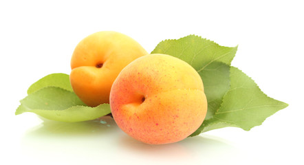 ripe sweet apricots with green leaves isolated on white