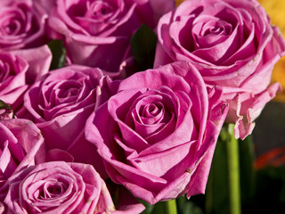 roses